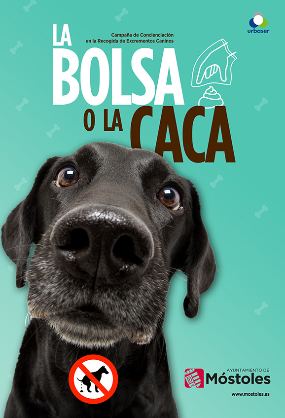 Campaa de Publicidad Ayto. Mstoles