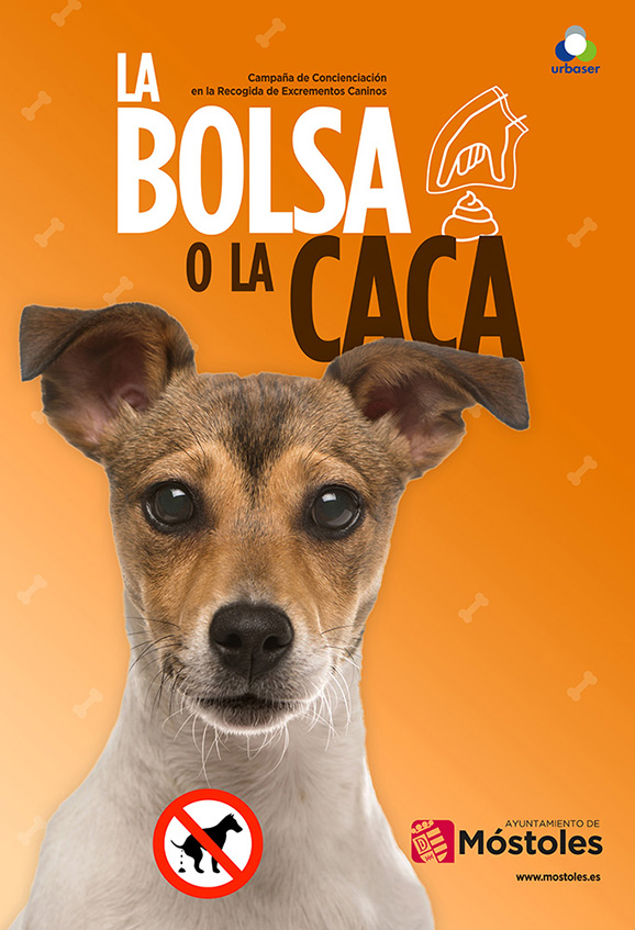 Campaa de Publicidad Ayto. Mstoles